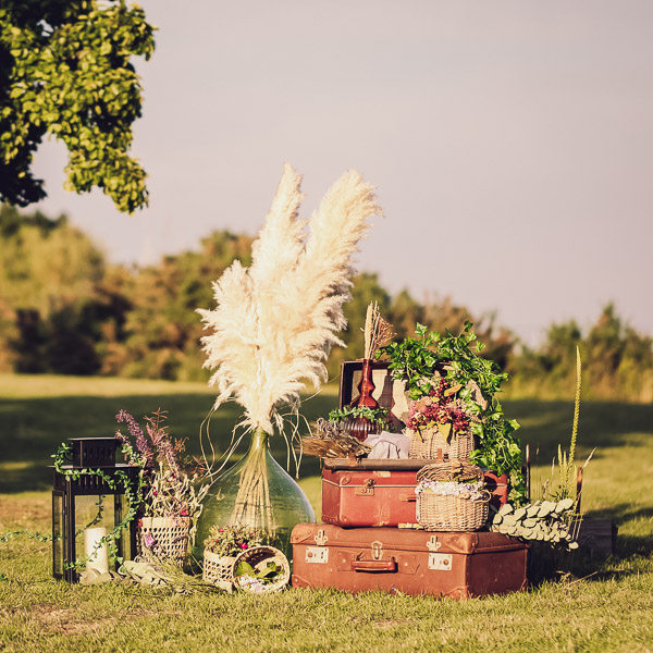 Création d'univers lors d'un mariage 